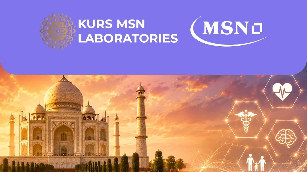 MSN Multimedia