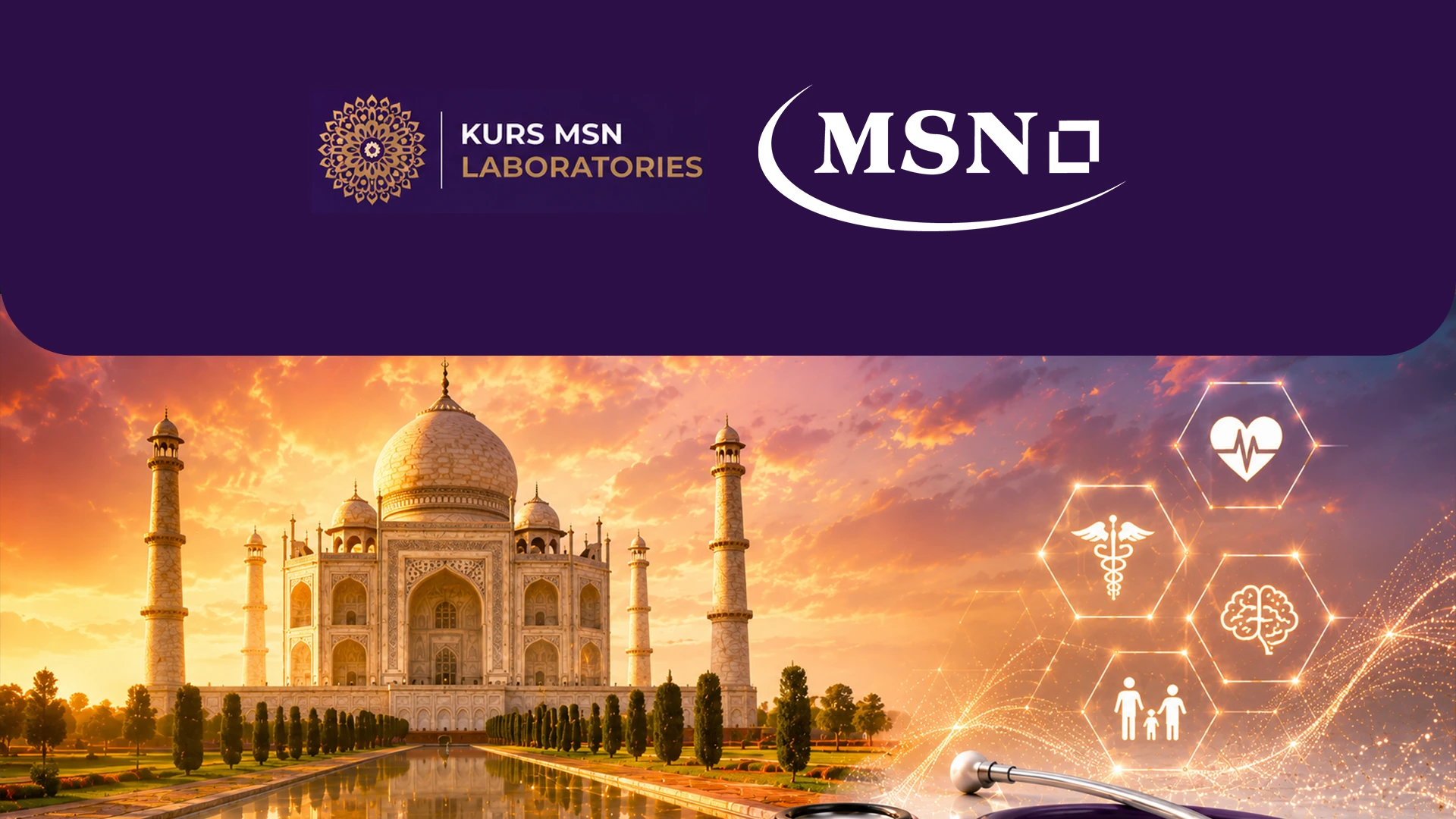 MSN Multimedia