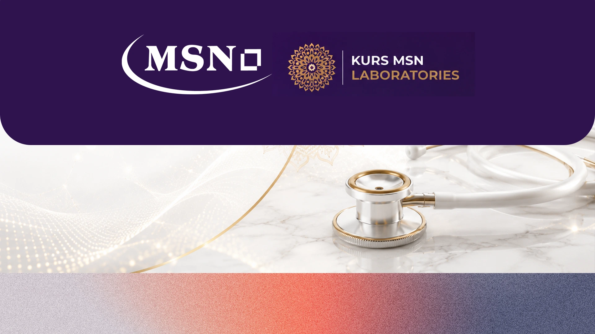 MSN Multimedia