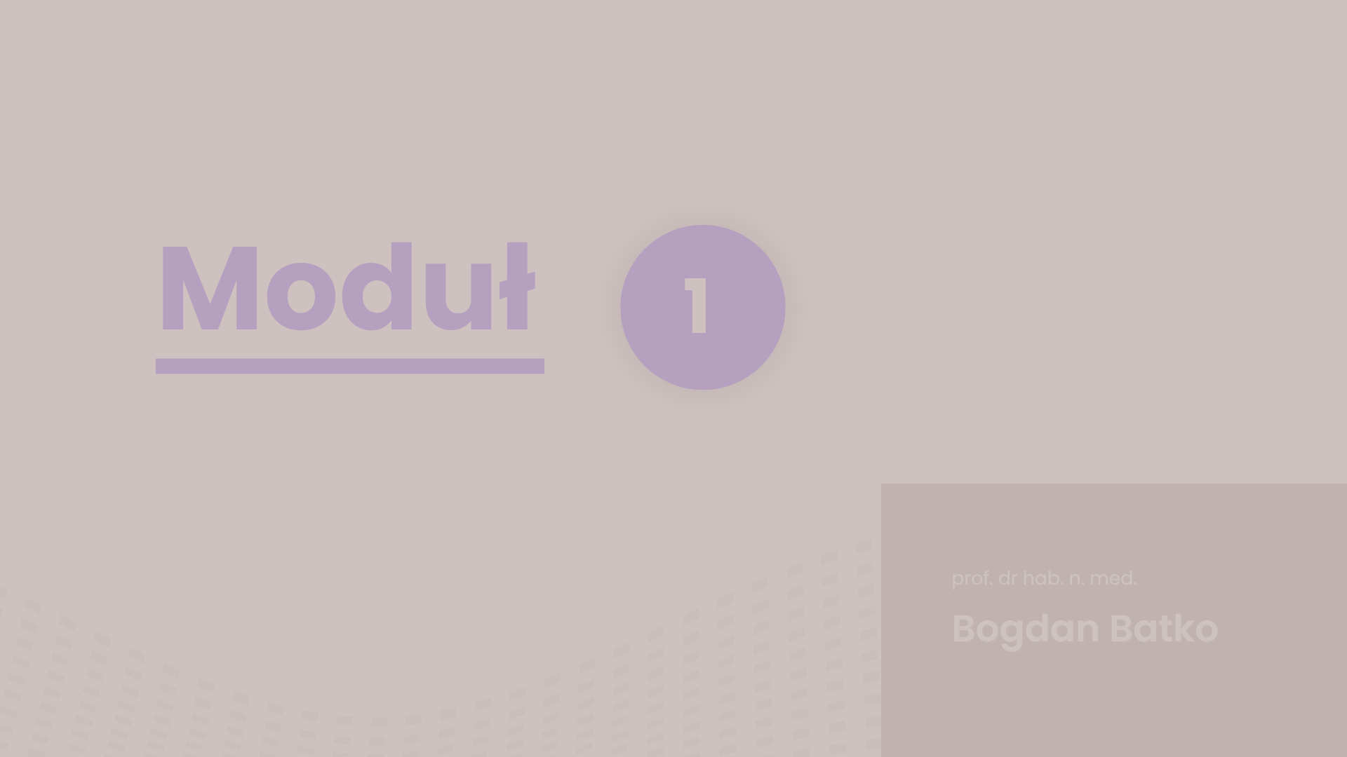 TEASER 1 PIEL.png