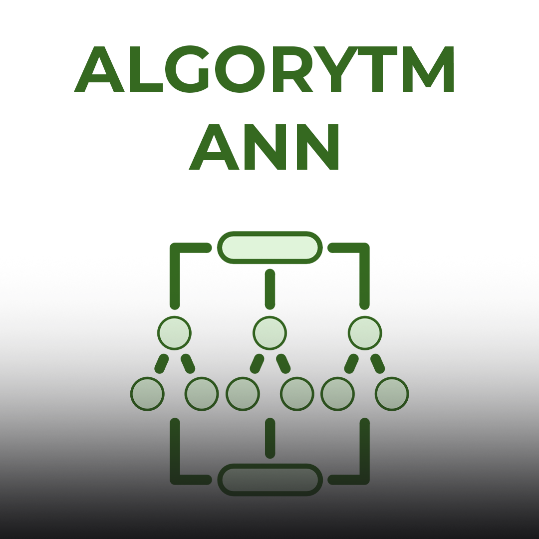 ANN.png