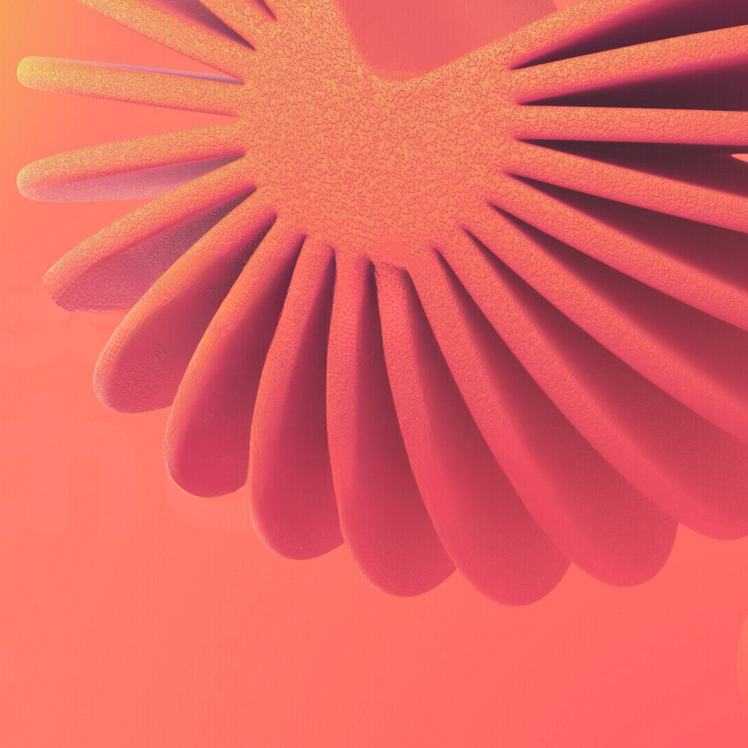 y.png